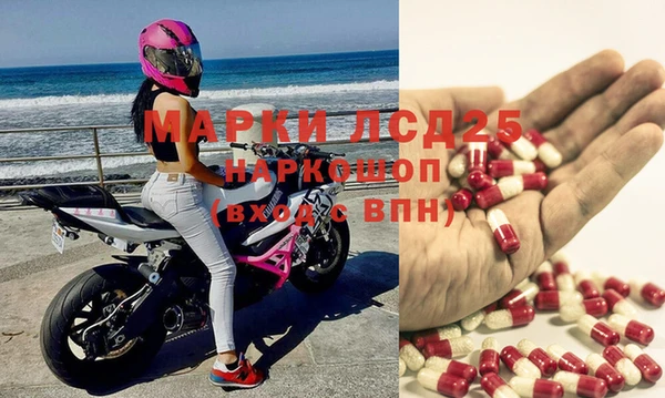 а пвп мука Богданович