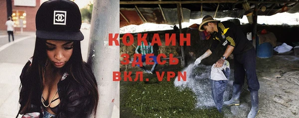 mdpv Богородицк