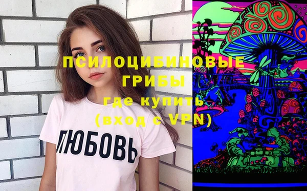 mdpv Богородицк