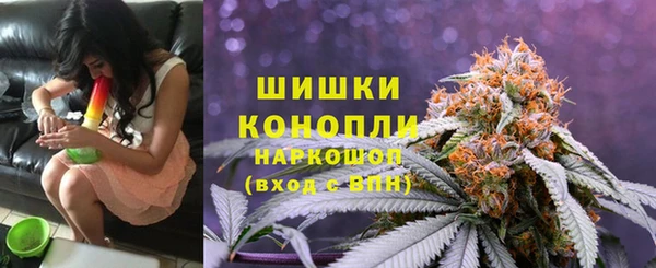 mdpv Богородицк
