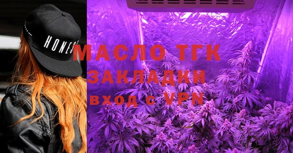 mdpv Богородицк