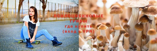 а пвп мука Богданович