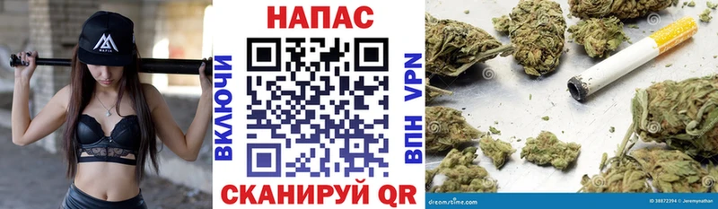 сайты даркнета клад  Михайлов  блэк спрут зеркало  Конопля SATIVA & INDICA  наркота 
